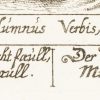 Ansicht 5