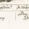 Ansicht 5