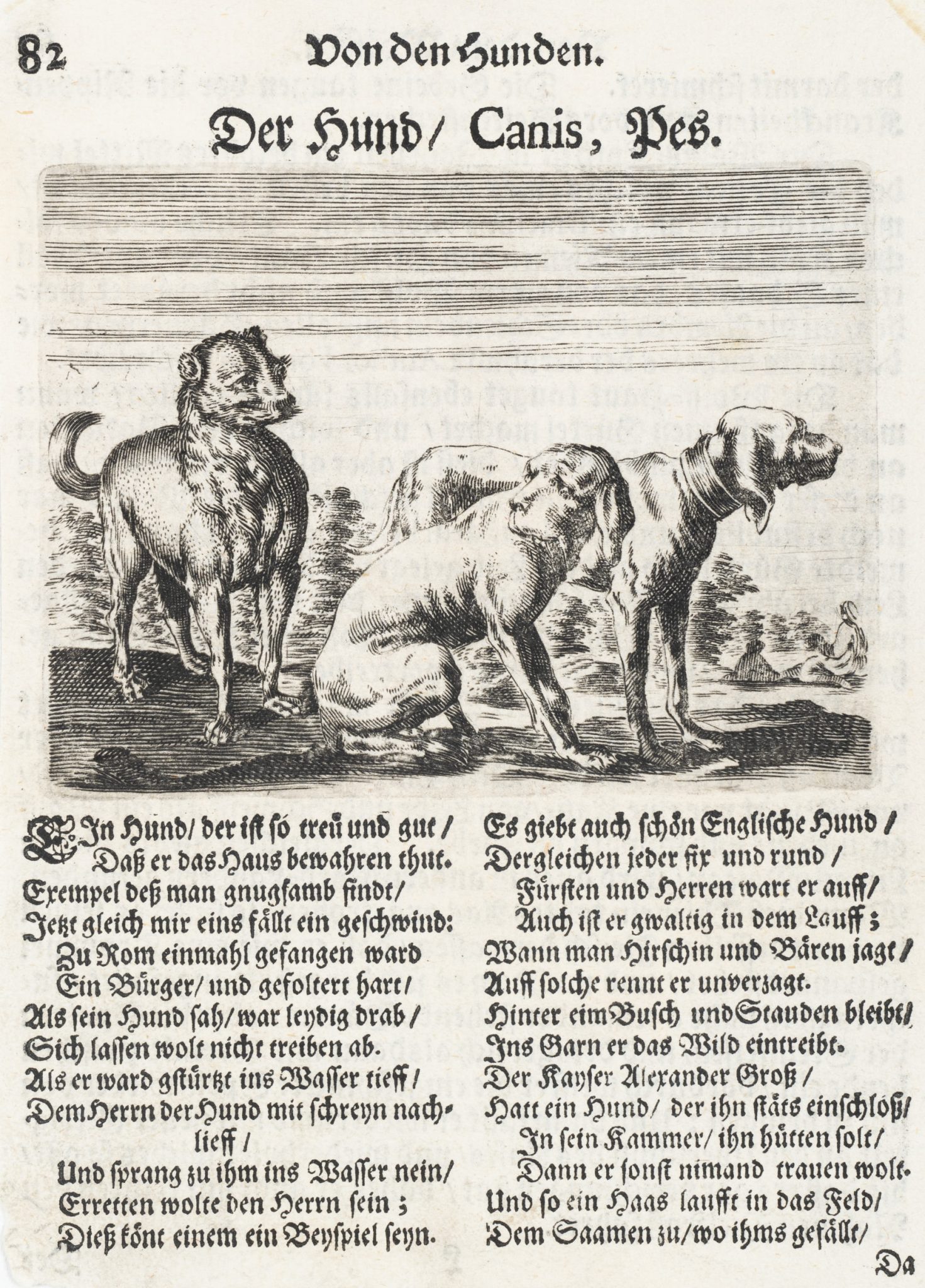 Illustration von Hunden und Gedichten