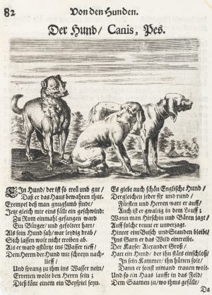 Illustration von Hunden und Gedichten