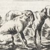 Ansicht 4