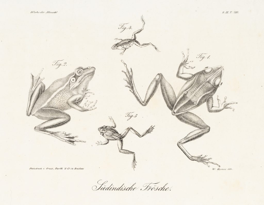 Werk von W. Hermes