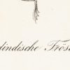Ansicht 5