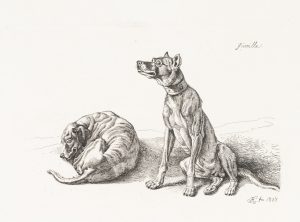 Zwei Jagdhunde, Guerilla