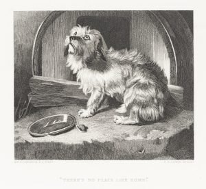 Hund an seiner Hütte