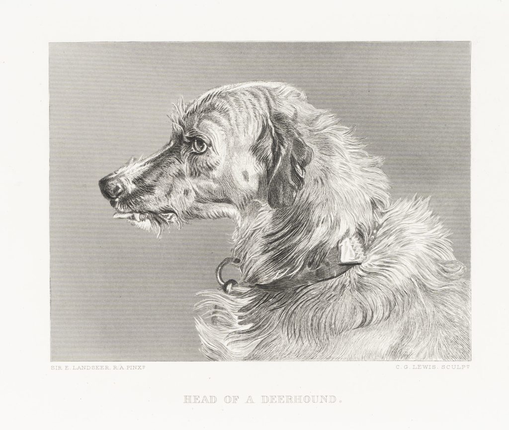 Werk von Charles George Lewis