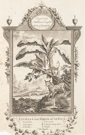 Afrikanische Flora und Fauna