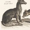 Ansicht 5