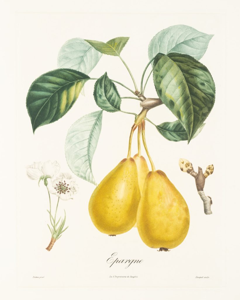 Werk von Antoine Poiteau