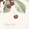 Ansicht 5