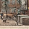 Ansicht 4