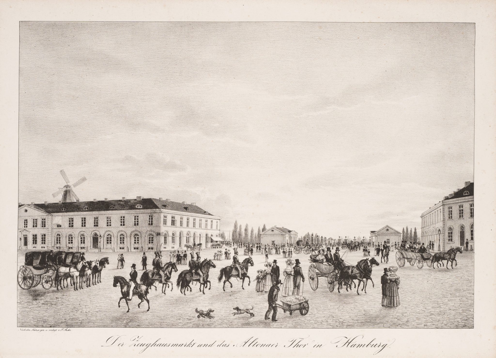 Hamburger Marktszene. Zeughausmarkt