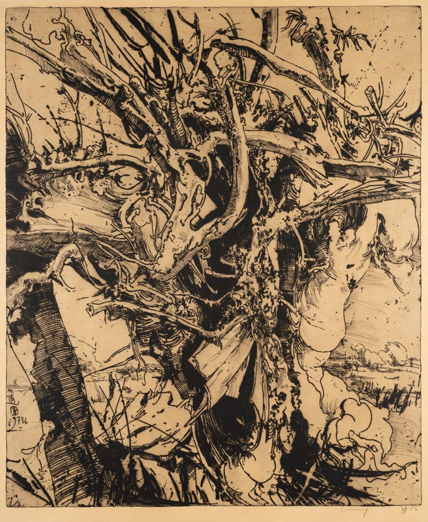 Werk von Horst Janssen