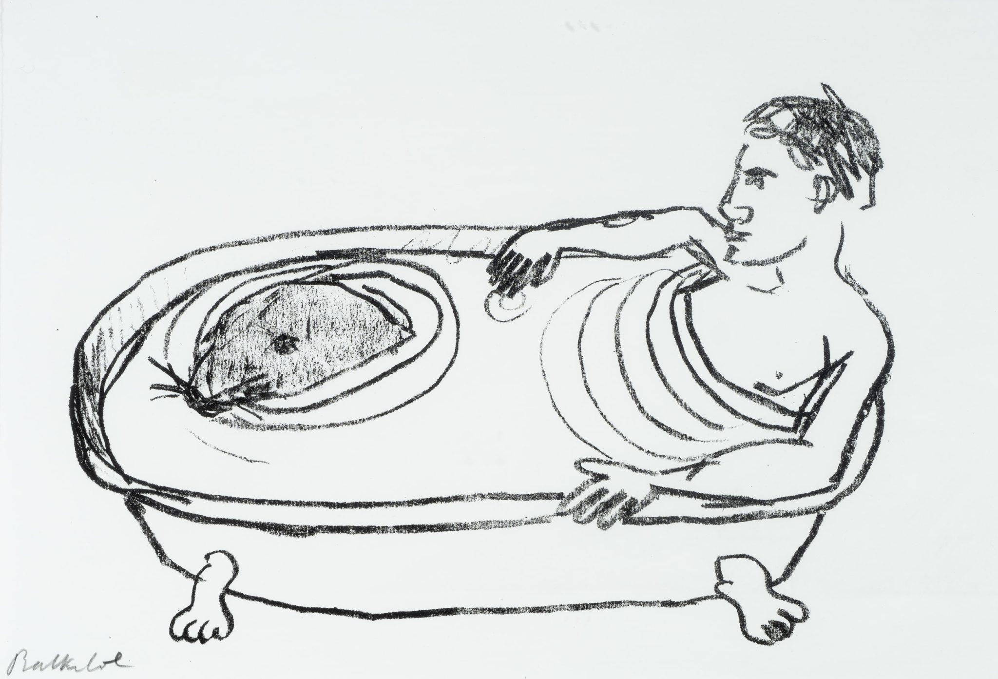 Seehund in der Badewanne