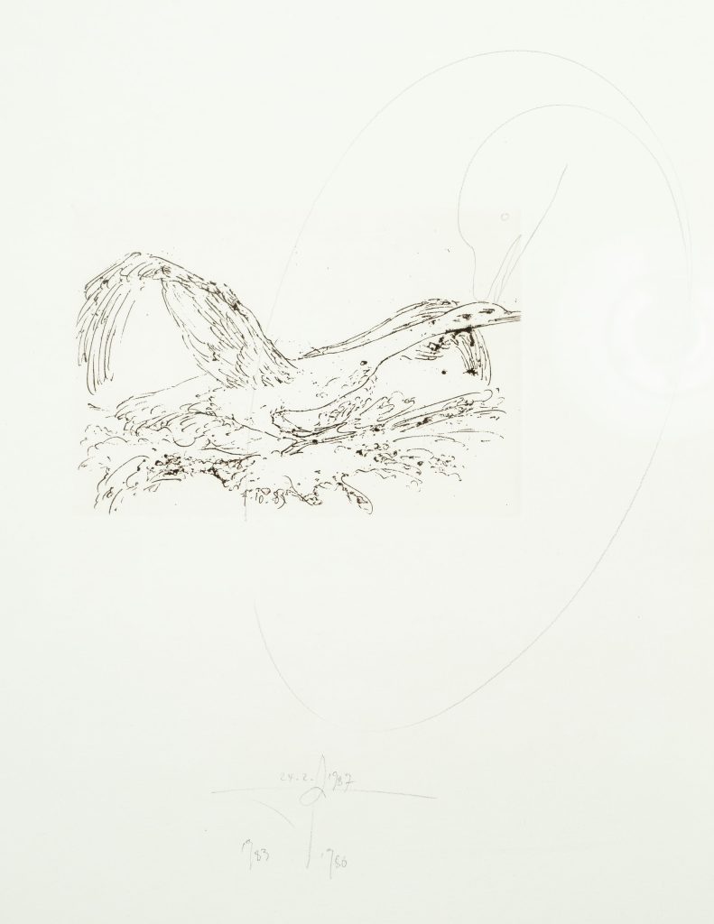 Werk von Jonas Hafner