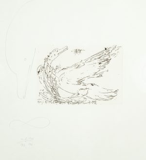 Fliegender Vogel