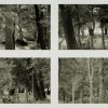 Ansicht 1