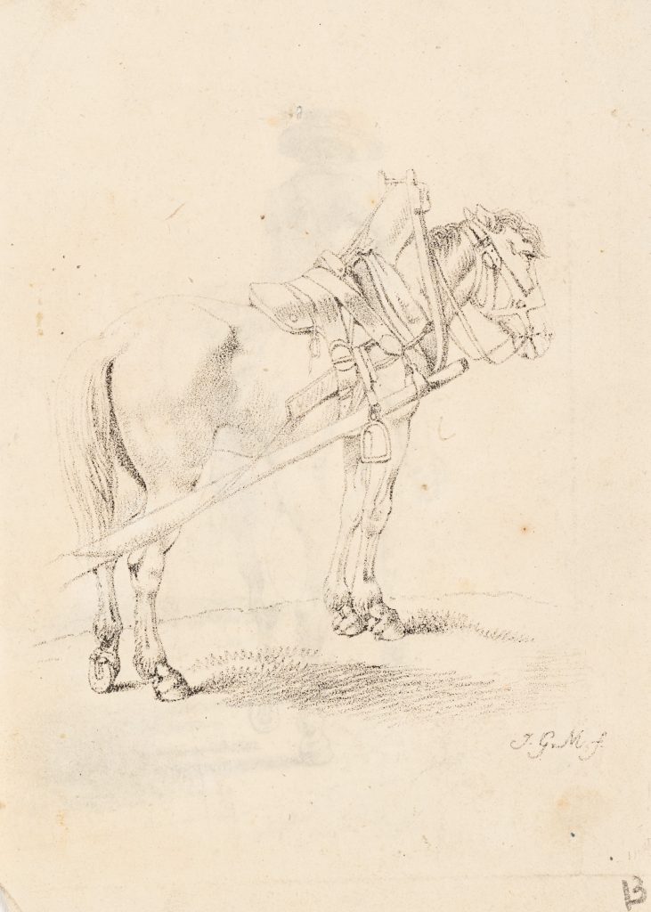 Werk von Johann Georg Mansfeld