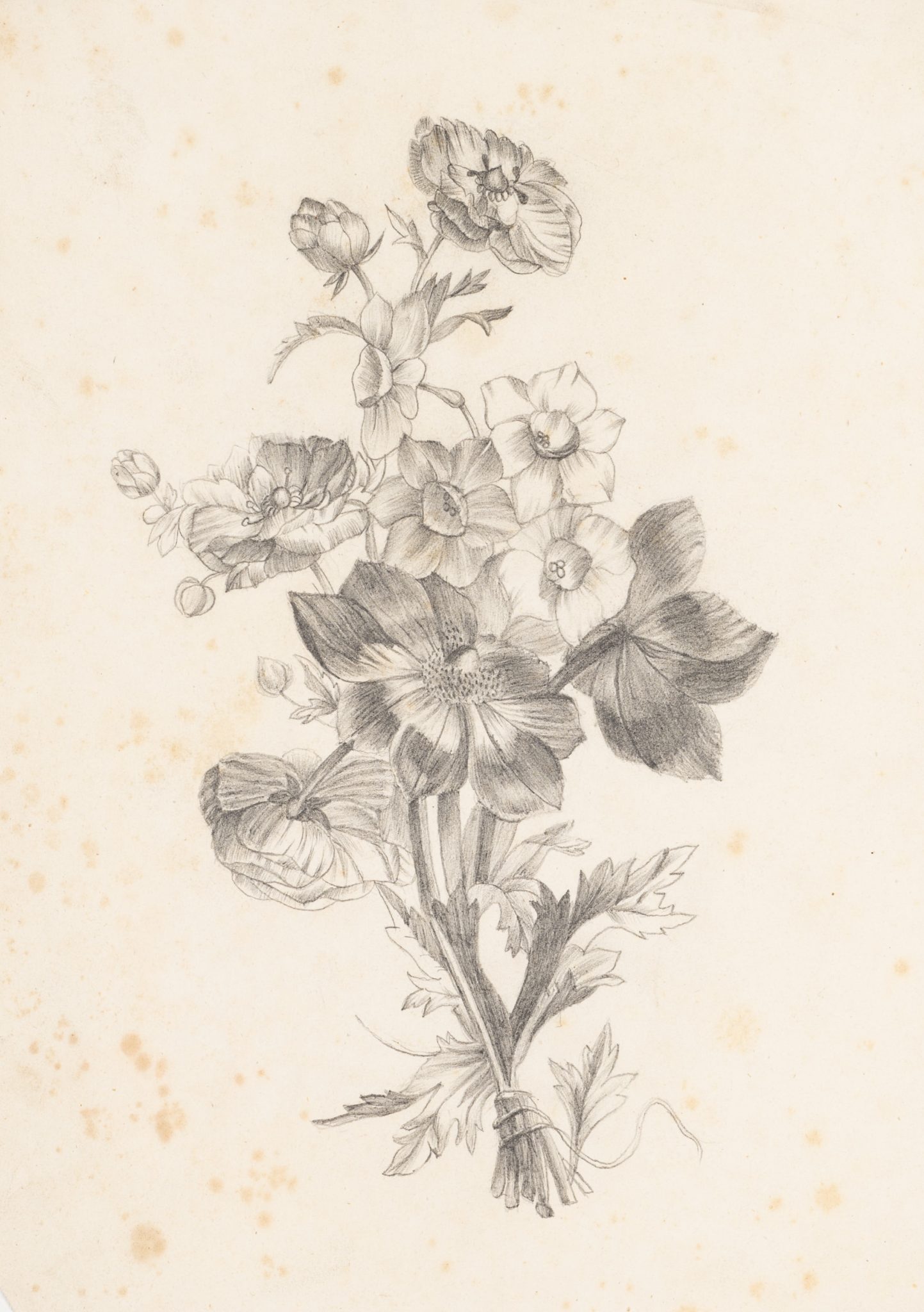Blumenstrauß-Illustration