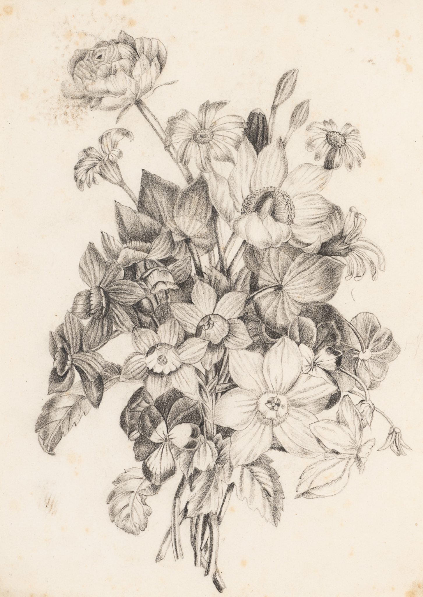 Florales Stillleben
