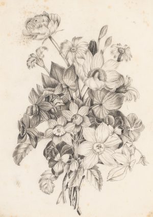Florales Stillleben