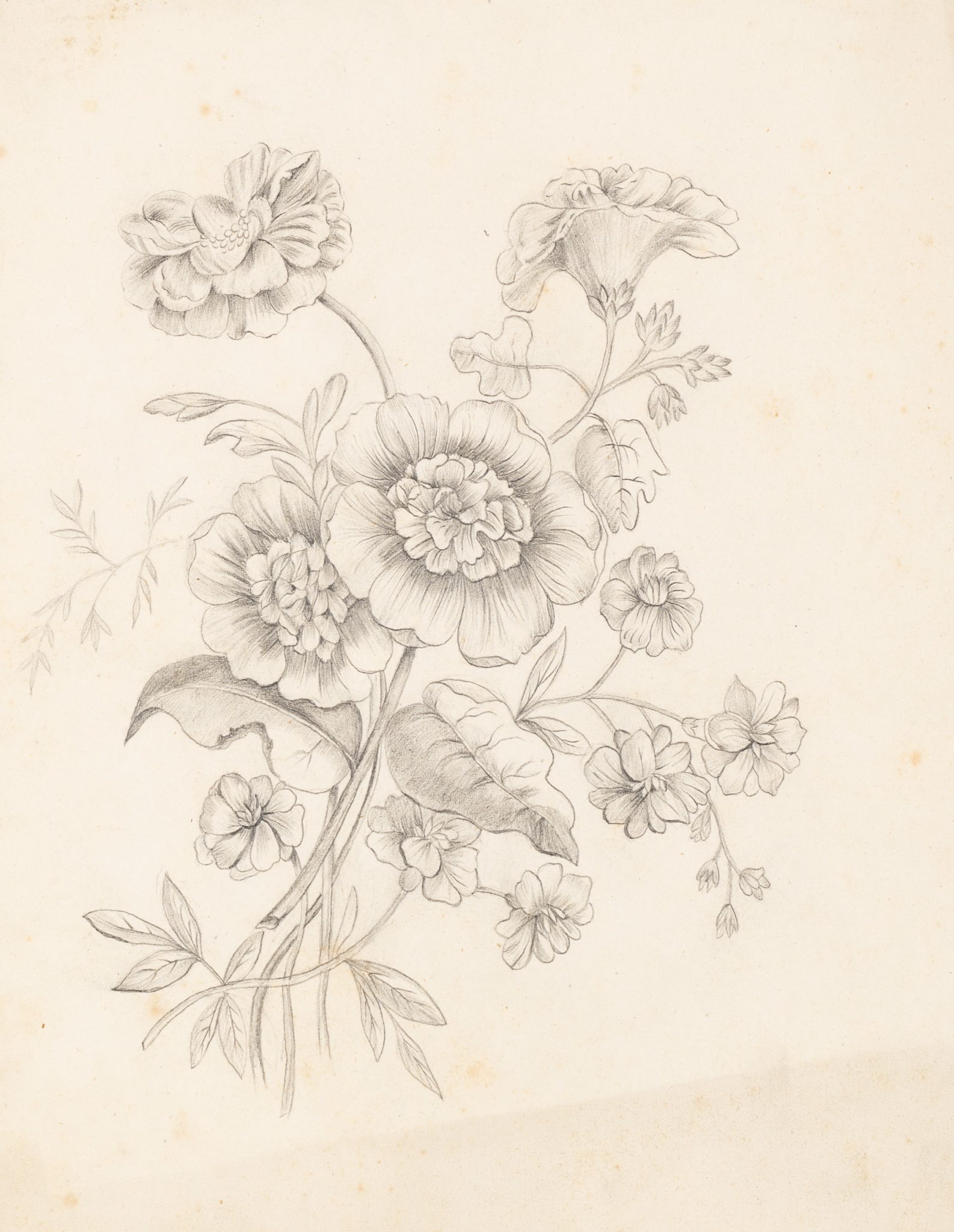 Florale Eleganz