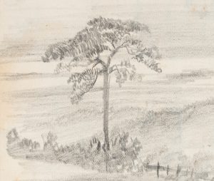Einsamer Baum in Landschaft