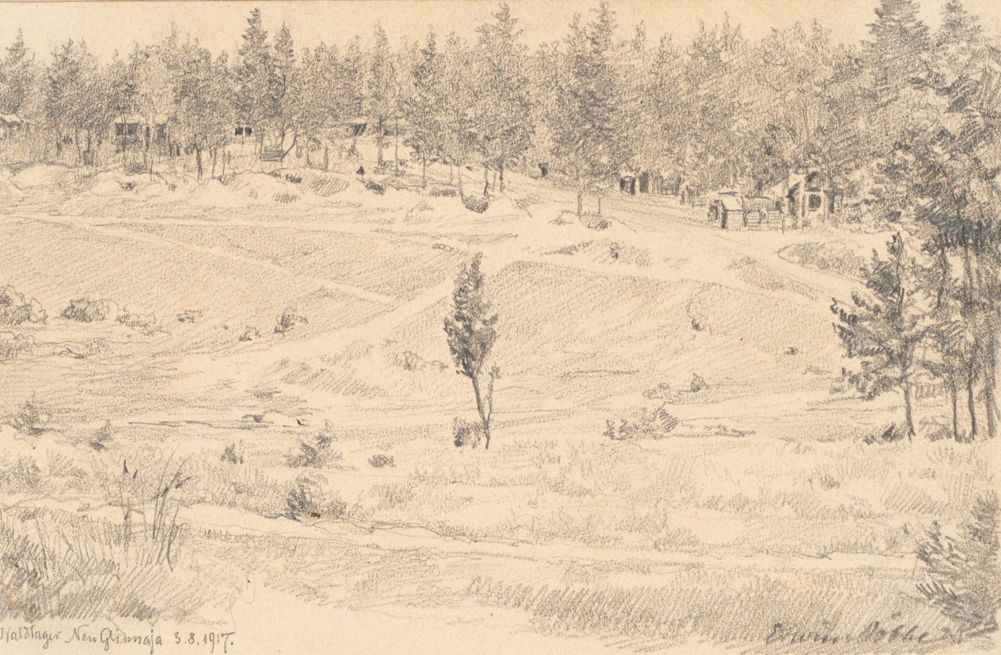 Waldlager. Panoramische Landschaftsszene