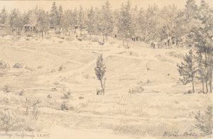 Waldlager. Panoramische Landschaftsszene