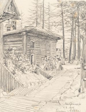 Waldlager mit Blockhütte