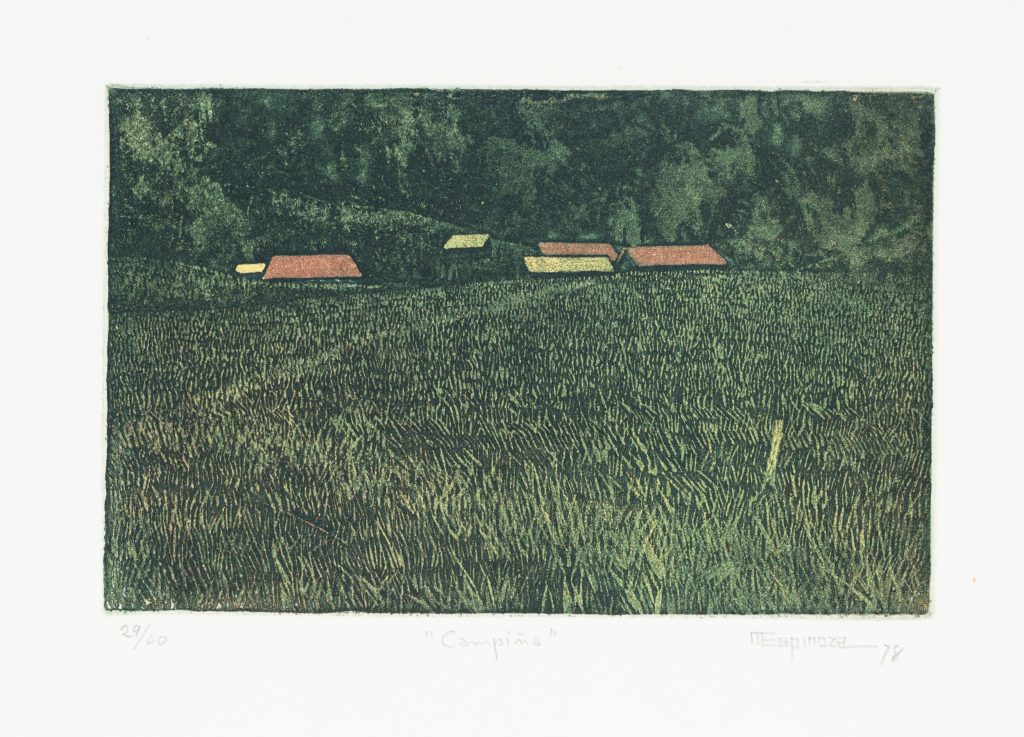 Werk von Manuel Espinoza