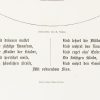 Ansicht 5