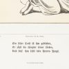 Ansicht 5