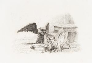 Krähe und Hündchen