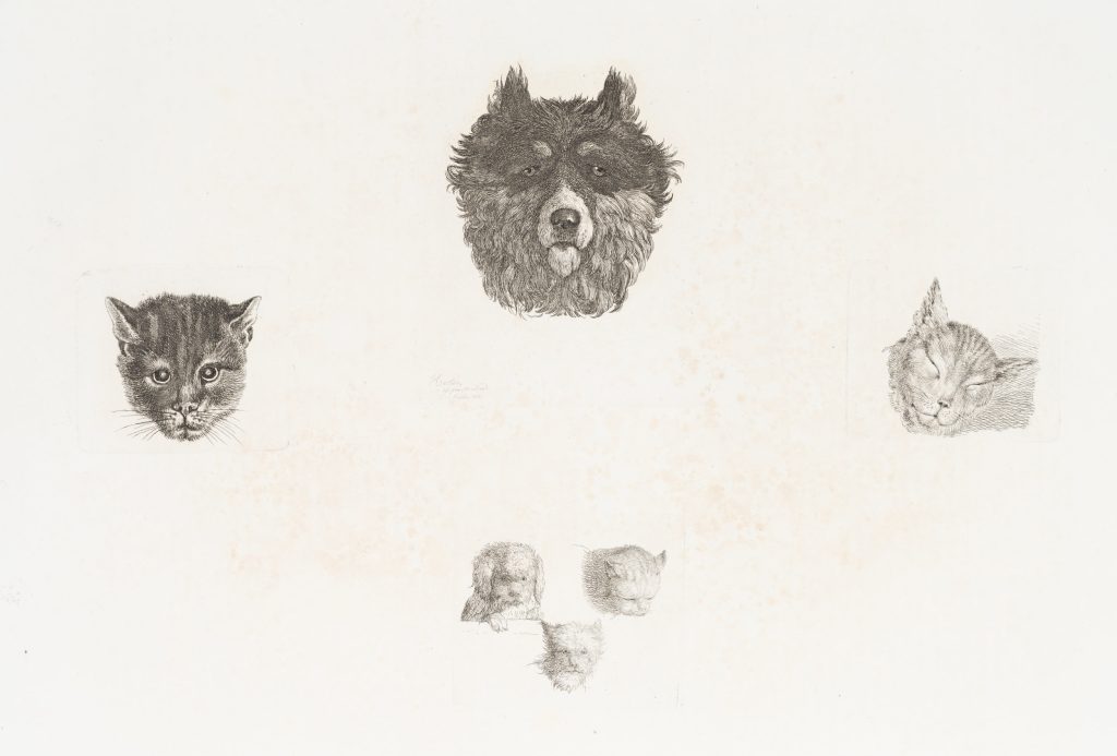 Werk von Nach Wenzel Hollar