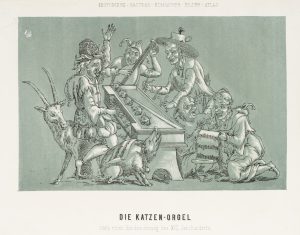 Die Katzenorgel