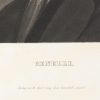 Ansicht 4
