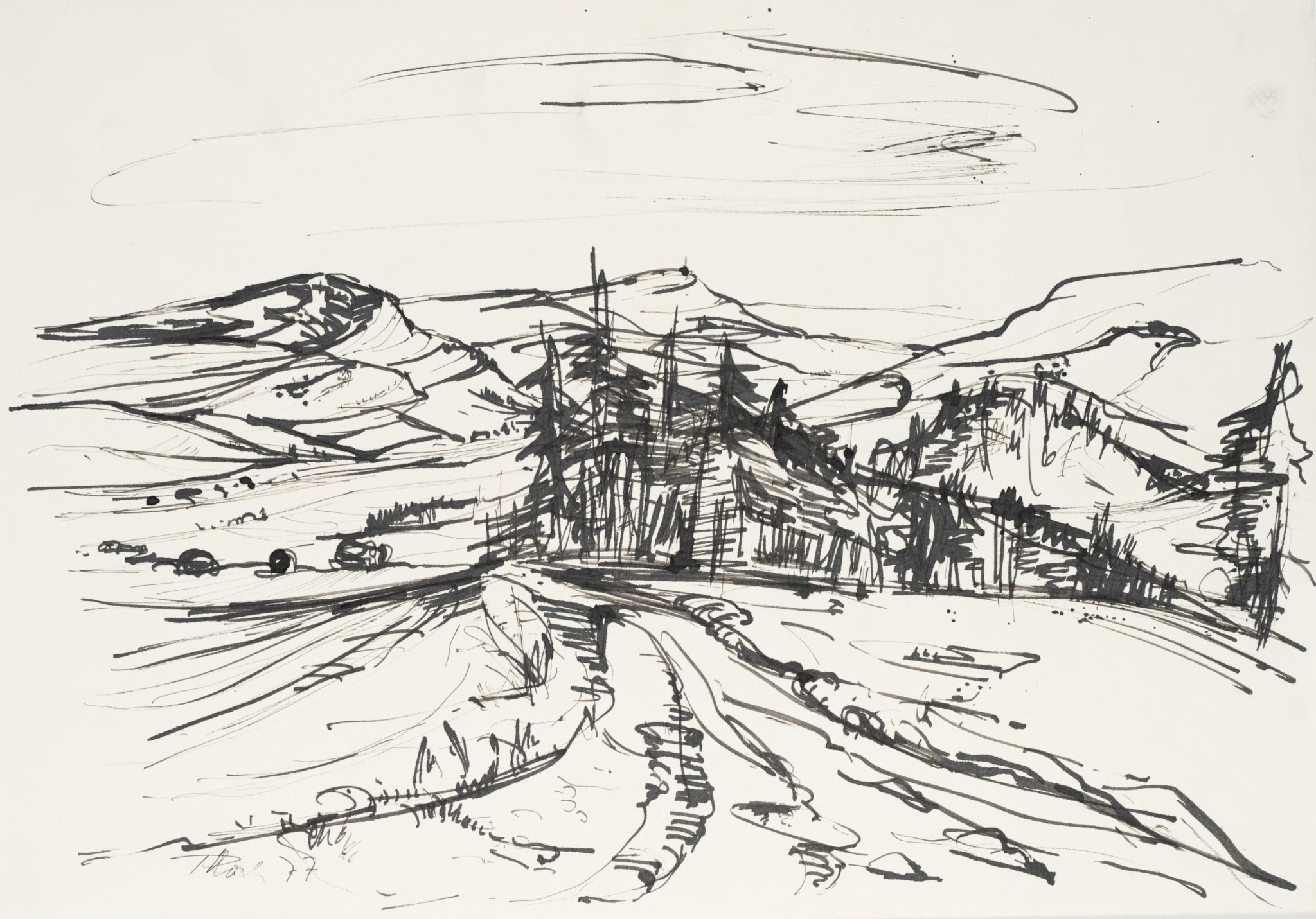Landschaft mit Pfad