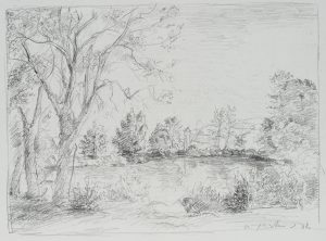 Landschaft am Teich