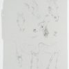 Ansicht 5
