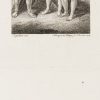 Ansicht 5
