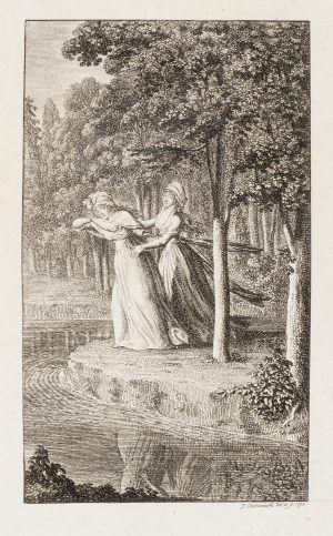 Dramatische Szene am Waldsee