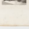 Ansicht 5
