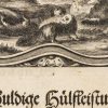 Ansicht 5