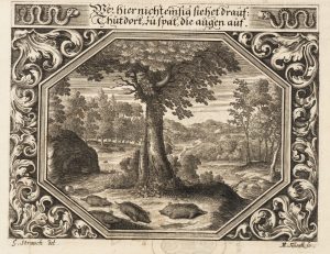 Emblem. Mangelnde Selbsterkenntnis