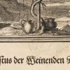 Ansicht 5