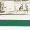 Ansicht 5
