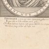 Ansicht 5