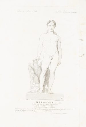 Napoleon Statue mit Adler