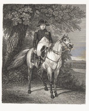 Reiterportrait Napoleon